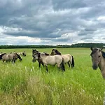 Osada Vikinga * Studzienice